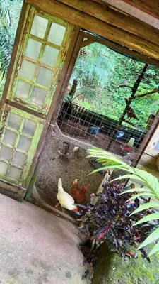 A planta de Recanto Maranata