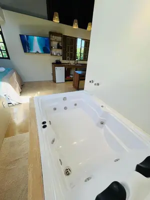 Uma televisão e/ou sistema de entretenimento em Studio Na Natureza Com Hidro - Baoba Suites