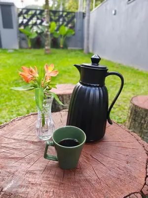 Um jardim no exterior de Casa Woods seu Refúgio na Praia do Estaleiro