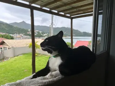 O animal ou animais de estimação com os hóspedes em Local simples, mas com uma vista espetacular!