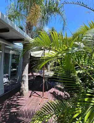 Um jardim no exterior de chalé com jacuzzy