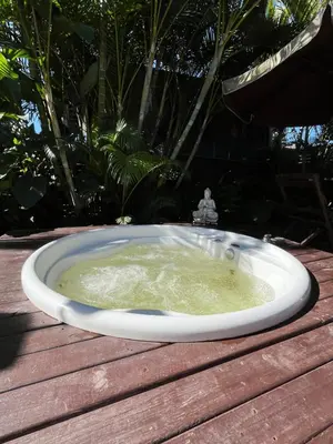 A planta de chalé com jacuzzy