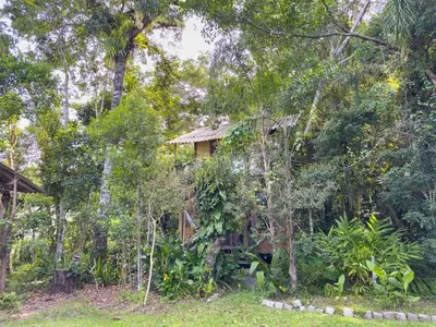 Um jardim no exterior de Cabana na Mata • Privacidade • Mariscal