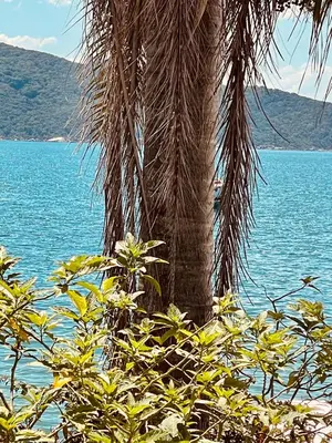 Paisagem natural perto do apartamento