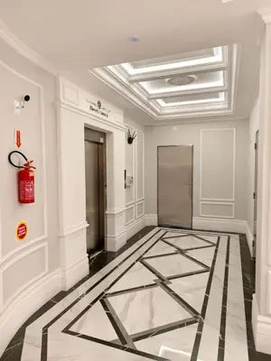 A planta de bauer
