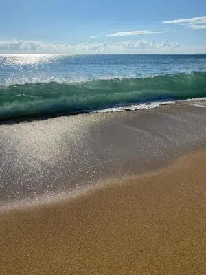 Paisagem natural perto da casa de férias