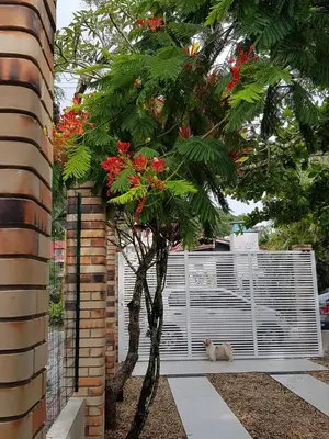 Um jardim no exterior de Casa de Praia Aconchegante