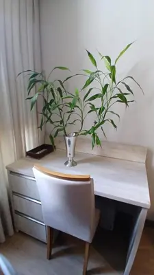 A planta de Flat Itapema