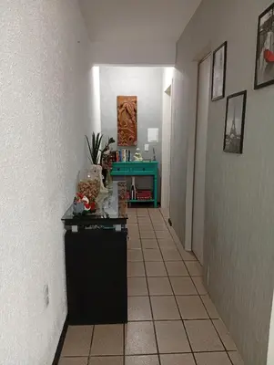 A planta de Sol na Meia Praia