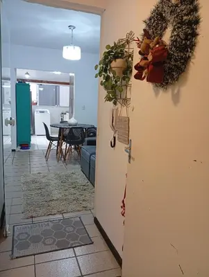 A planta de Sol na Meia Praia