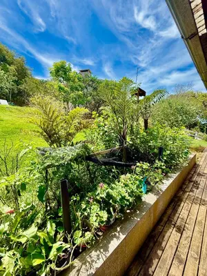 Um jardim no exterior de Praia de Palmas - Casa vista mar
