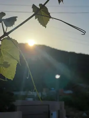 Paisagem natural perto da casa de férias