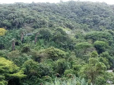 Paisagem natural perto do apartamento