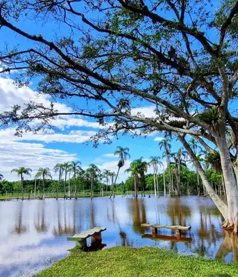 Paisagem natural perto da casa de férias