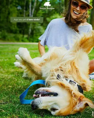 O animal ou animais de estimação com os hóspedes em Pousada Nosso Bosque