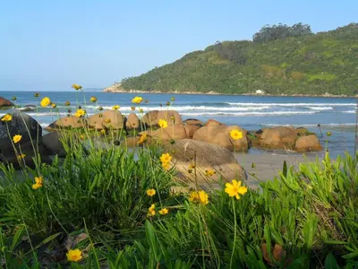 Paisagem natural perto do apartamento
