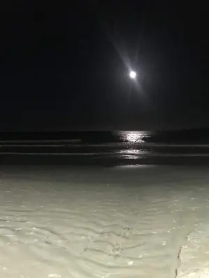 Paisagem natural perto da casa de férias