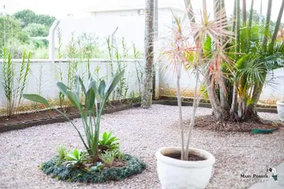 Um jardim no exterior de Di Raffaele Bombinhas