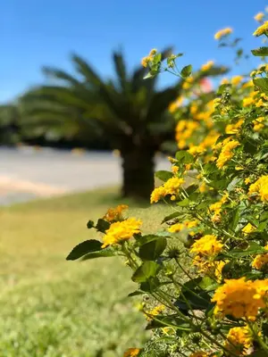 Um jardim no exterior de Reserva Praia Hotel