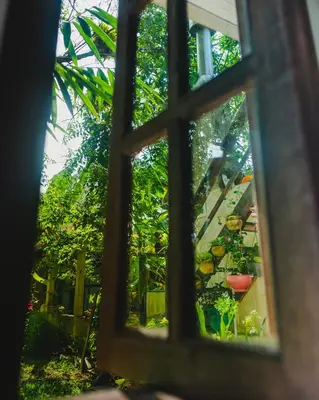 Um jardim no exterior de Casa Mico Leão Dourado