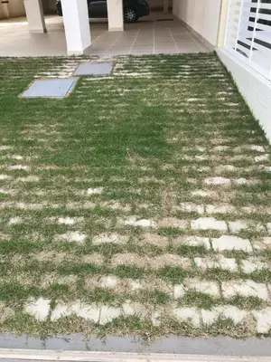 A planta de ANSNEGOCIOS LINDO APTO PRAIA MARISCAL CASAGRANDE- Ac