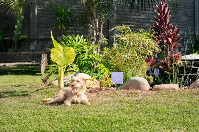 Um jardim no exterior de Makkai Resort Hotel Bombinhas