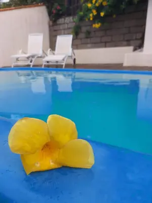 A piscina em ou perto de Pousada Al Mare
