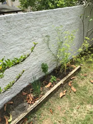 Um jardim no exterior de Excelente Casa em Bombas