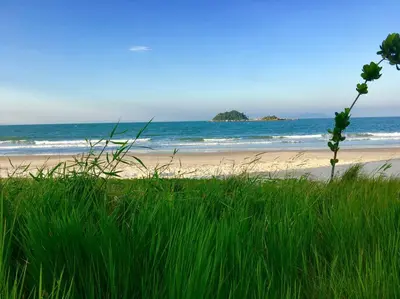 A planta de Praia de Palmas - praiadepalmasachar
