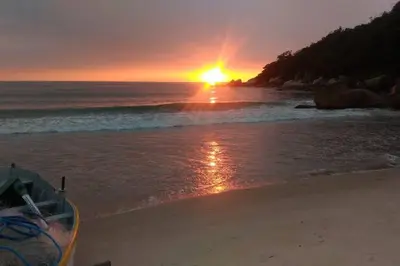 A planta de Praia de Palmas - praiadepalmasachar