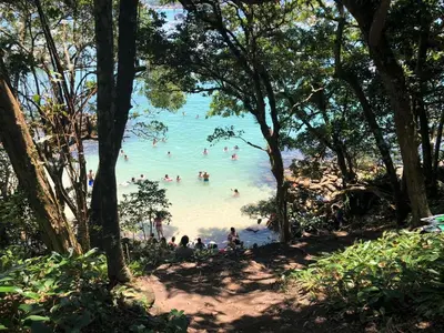 A planta de Praia de Bombinhas Res Solar das Bromélias