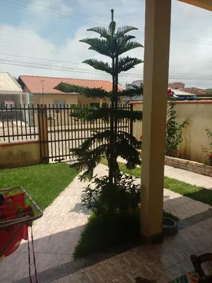 Um jardim no exterior de Um quarto em casa agradável