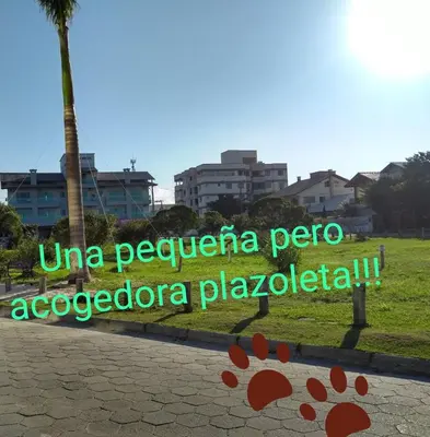 A planta de Lumini 103