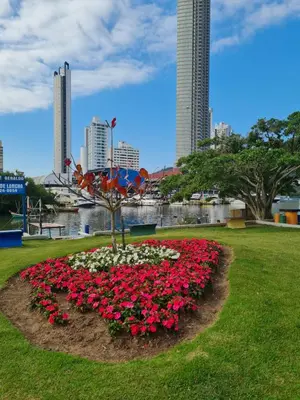 Um jardim no exterior de Maika'i Pousada