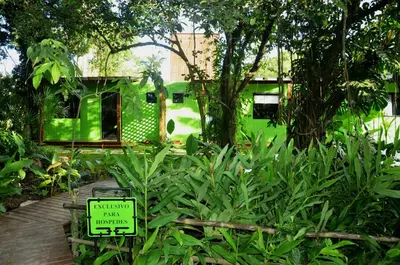 Um jardim no exterior de Innbox - Porto Belo
