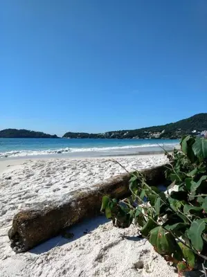 A planta de Apto Vista Mar -250mts da Praia