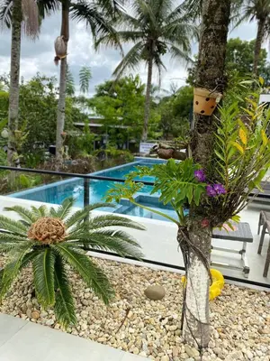 A piscina em ou perto de Pousada Bella Casa