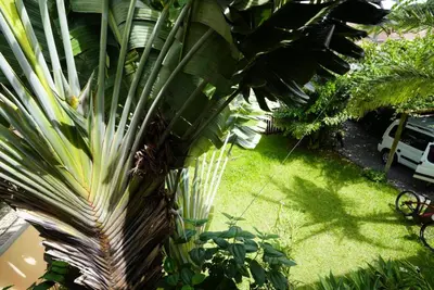 Um jardim no exterior de Casa alquiler en Bombas Bombinhas
