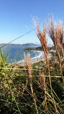 Paisagem natural perto do apartamento
