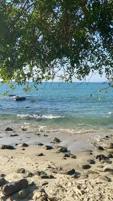 Paisagem natural perto da casa de férias