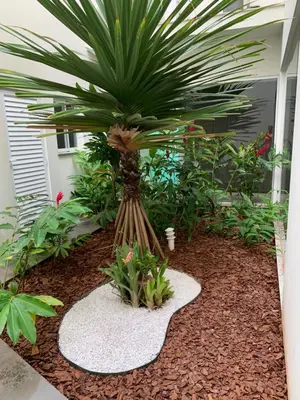 A planta de Lindo apartamento Praia de Palmas