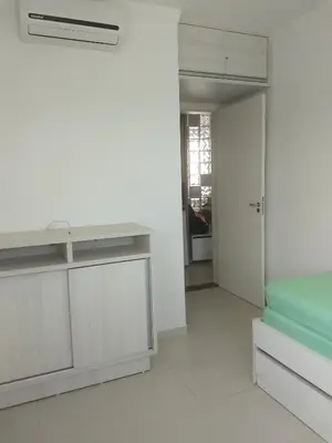 A planta de Satisfação total na praia de Palmas