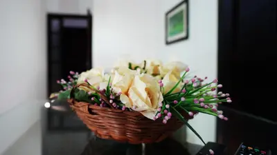 A planta de Residencial Beija Flor Loft 11