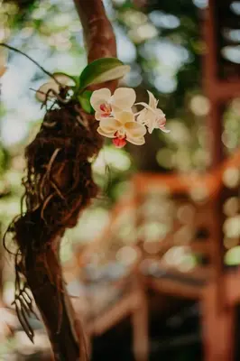 Um jardim no exterior de Pousada Praia de Bombinhas