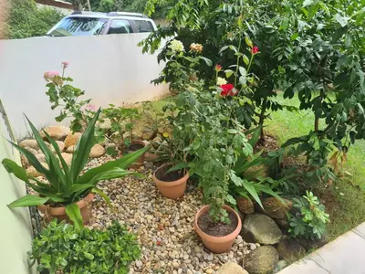 Um jardim no exterior de PRAIA DE 4 ILHAS Apartamento 2 Quartos 50M da Praia Com Vista