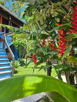 A planta de Sunshine Residencial