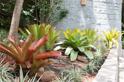 Um jardim no exterior de Dubai Bungalows Bombinhas