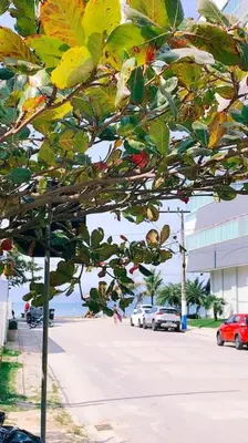 A planta de Luxuoso apartamento com vista mar em Itapema SC