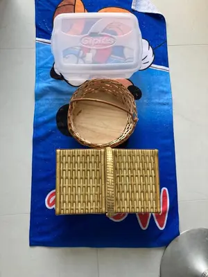 A planta de Conchas de Palmas