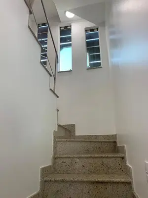 A planta de Triplex pé na areia